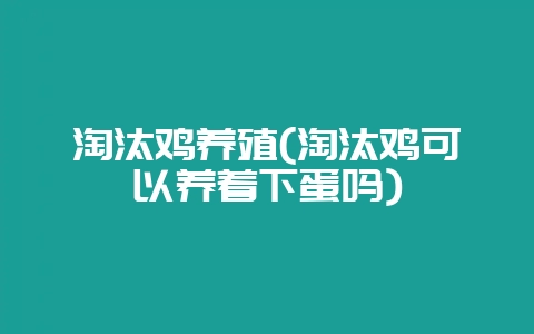 淘汰鸡养殖(淘汰鸡可以养着下蛋吗)-会东网