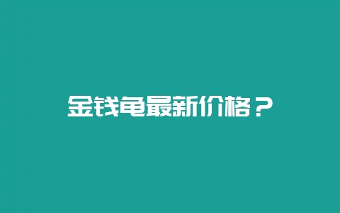 金钱龟最新价格？-会东网