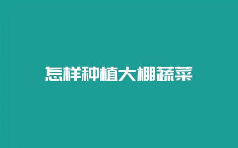怎样种植大棚蔬菜-会东网