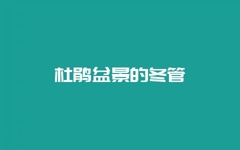 杜鹃盆景的冬管-会东网