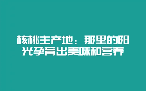 核桃主产地:那里的阳光孕育出美味和营养-会东网