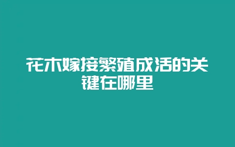 花木嫁接繁殖成活的关键在哪里-会东网