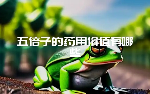 五倍子的药用价值有哪些-会东网