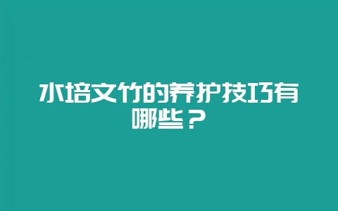 水培文竹的养护技巧有哪些？-会东网