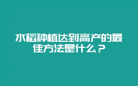 水稻种植达到高产的最佳方法是什么？-会东网
