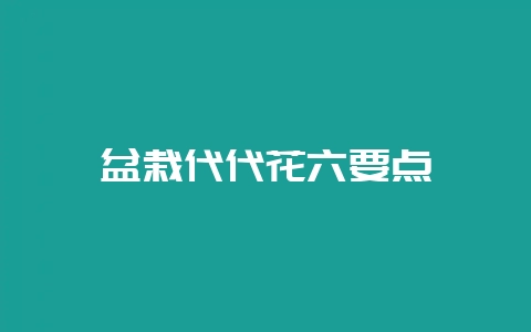 盆栽代代花六要点-会东网