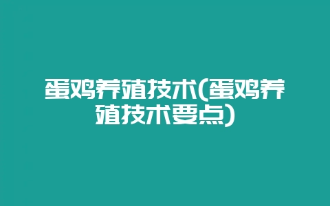 蛋鸡养殖技术(蛋鸡养殖技术要点)-会东网