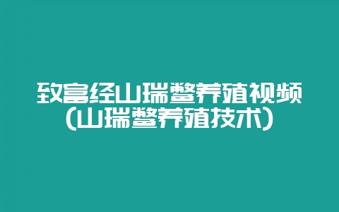 致富经山瑞鳖养殖视频(山瑞鳖养殖技术)-会东网