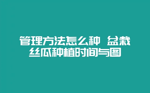 管理方法怎么种 盆栽丝瓜种植时间与图-会东网