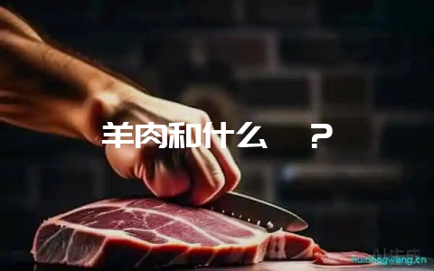 羊肉和什么炖?-会东网