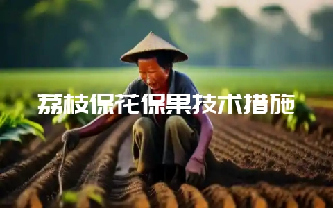 荔枝保花保果技术措施-会东网