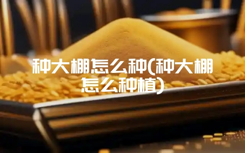 种大棚怎么种(种大棚怎么种植)-会东网