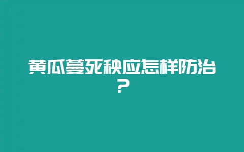 黄瓜蔓死秧应怎样防治?-会东网