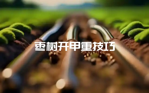 枣树开甲重技巧-会东网