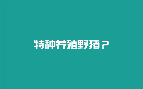 特种养殖野猪？-会东网