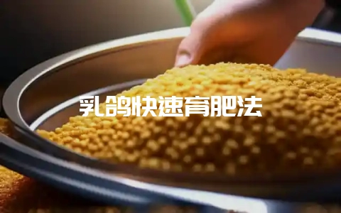 乳鸽快速育肥法-会东网