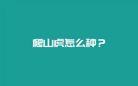 爬山虎怎么种？-会东网
