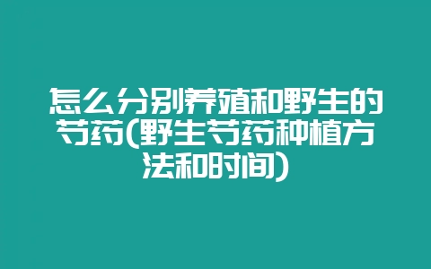 怎么分别养殖和野生的芍药(野生芍药种植方法和时间)-会东网