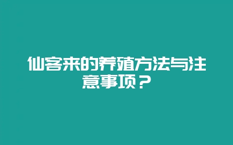 仙客来的养殖方法与注意事项？-会东网