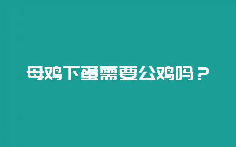 母鸡下蛋需要公鸡吗？-会东网