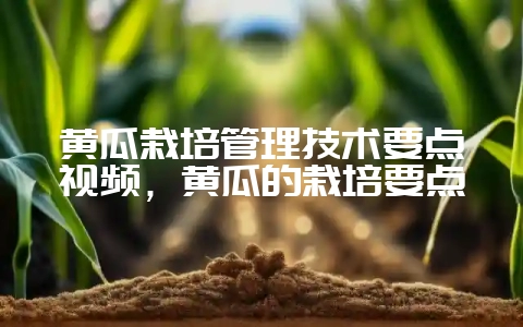 黄瓜栽培管理技术要点视频，黄瓜的栽培要点-会东网