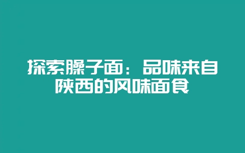 探索臊子面：品味来自陕西的风味面食-会东网