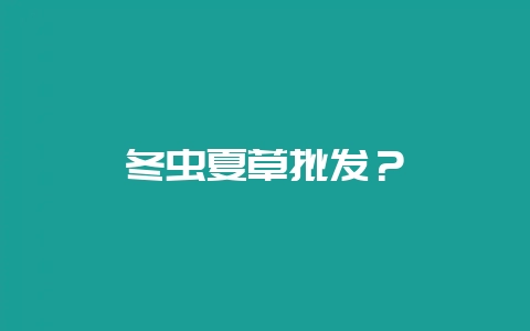 冬虫夏草批发？-会东网