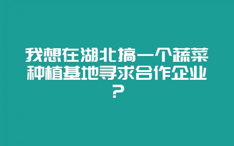 我想在湖北搞一个蔬菜种植基地寻求合作企业？-会东网