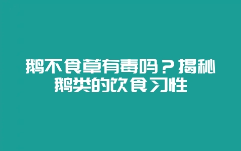 鹅不食草有毒吗？揭秘鹅类的饮食习性-会东网