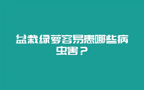 盆栽绿萝容易患哪些病虫害？-会东网