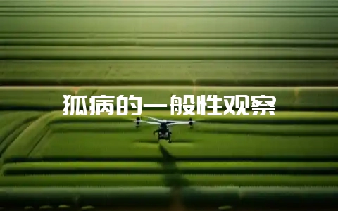 狐病的一般性观察-会东网