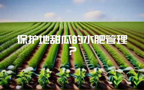 保护地甜瓜的水肥管理?-会东网