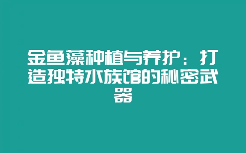 金鱼藻种植与养护：打造独特水族馆的秘密武器-会东网