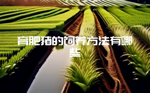 育肥猪的饲养方法有哪些插图 育肥猪的饲养方法有哪些插图