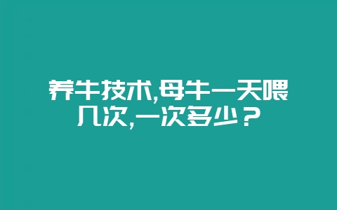养牛技术,母牛一天喂几次,一次多少？-会东网