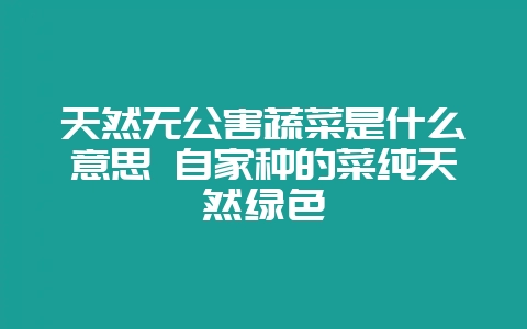 天然无公害蔬菜是什么意思 自家种的菜纯天然绿色-会东网