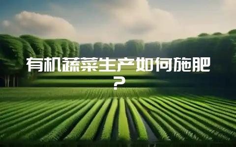 有机蔬菜生产如何施肥？-会东网