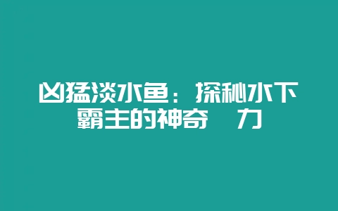 凶猛淡水鱼:探秘水下霸主的神奇魅力-会东网