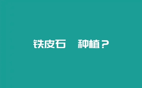 铁皮石斛种植？-会东网
