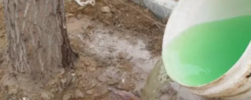 生根粉泡完倒掉还是浇土里-会东网