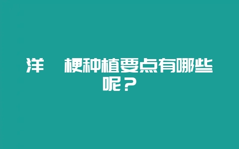 洋桔梗种植要点有哪些呢？-会东网