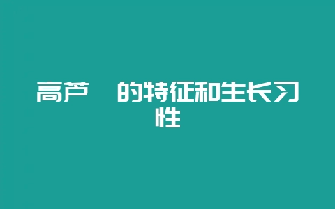 高芦荟的特征和生长习性-会东网