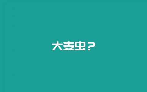 大麦虫？-会东网