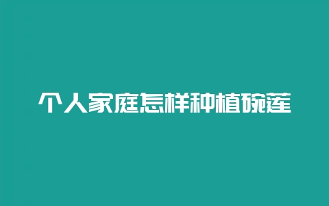 个人家庭怎样种植碗莲-会东网