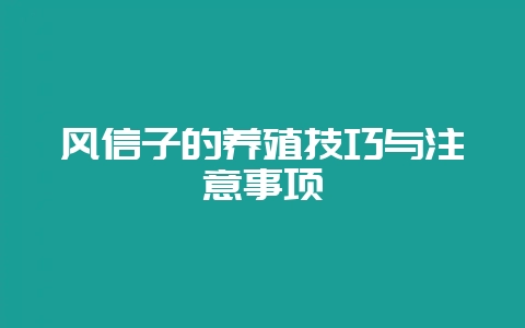 风信子的养殖技巧与注意事项-会东网