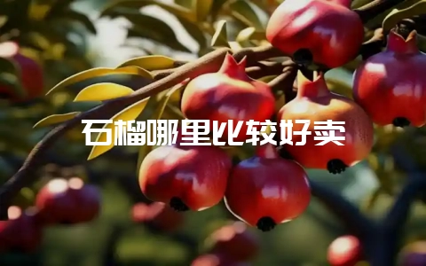 石榴哪里比较好卖-会东网