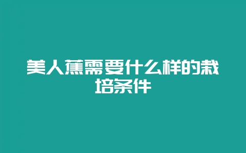 美人蕉需要什么样的栽培条件-会东网