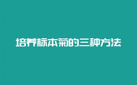 培养标本菊的三种方法-会东网