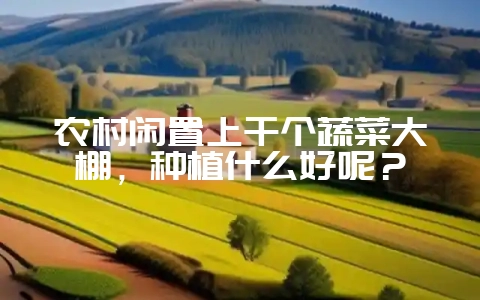 农村闲置上千个蔬菜大棚,种植什么好呢?-会东网