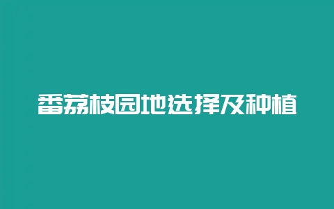 番荔枝园地选择及种植-会东网